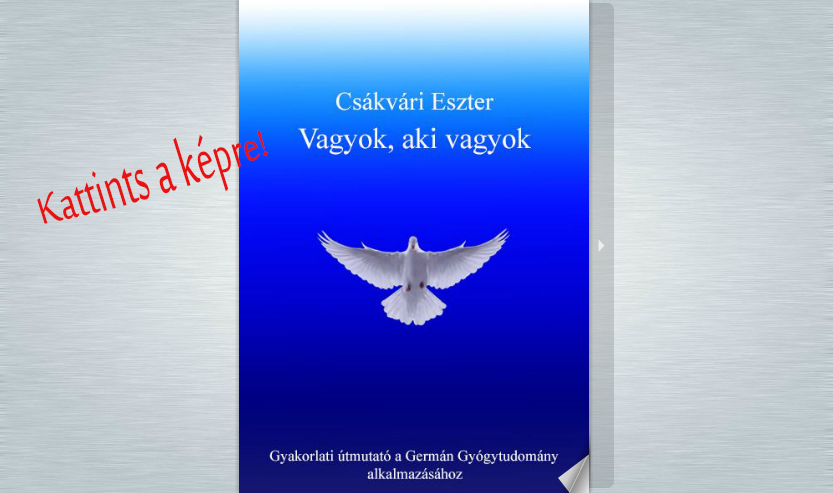 katt ebr