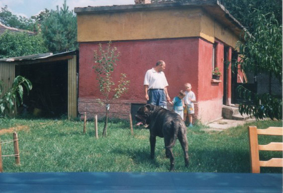 017 563 388 90.jpg