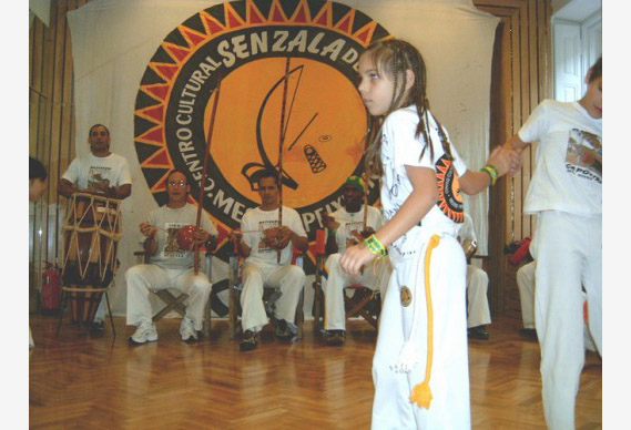 056 517 388 90.jpg
