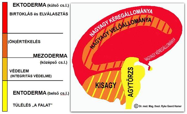 3.tt-hez