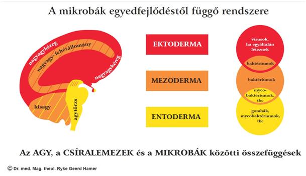 4.tt-hez